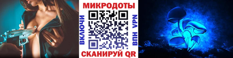 купить наркотик  Высоцк  Псилоцибиновые грибы Psilocybine cubensis 