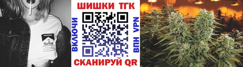 закладки  Высоцк  Каннабис индика 